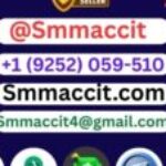 Profile photo of smm accit