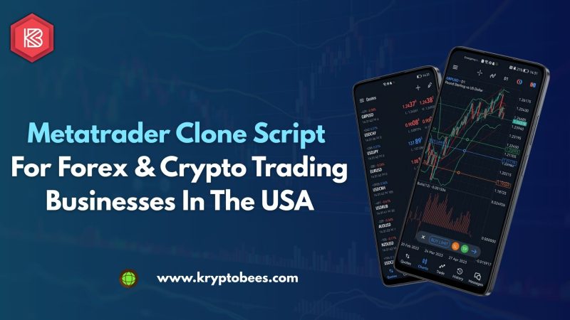 Metatrader Clone Script (3)