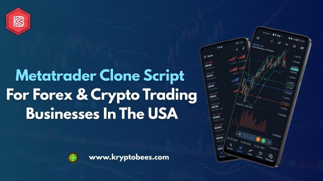 Metatrader Clone Script (3)