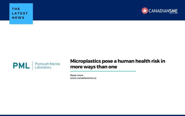 Microplastics-pose-a-human-health-risk-in-more-ways-than-one-800x500